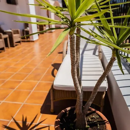 Hotel Paloma Blanca Boutique (adults Only) Marbella
