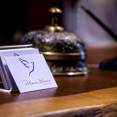 Paloma Blanca Boutique (adults Only) 3* Marbella